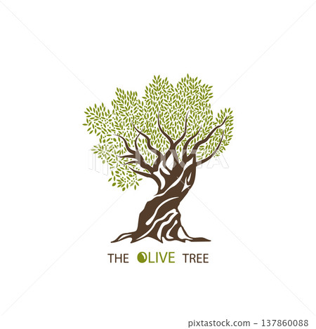 Olive tree. 137860088