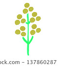 Paintings of spring flowers such as rapeseed blossoms 137860287