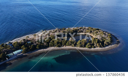 大瀨崎岬和上池 - 日本靜岡縣沼津市 137860436