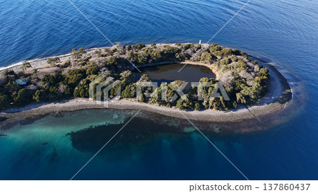 大瀨崎岬和上池 - 日本靜岡縣沼津市 137860437