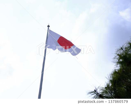 高知城的日本國旗 137860579
