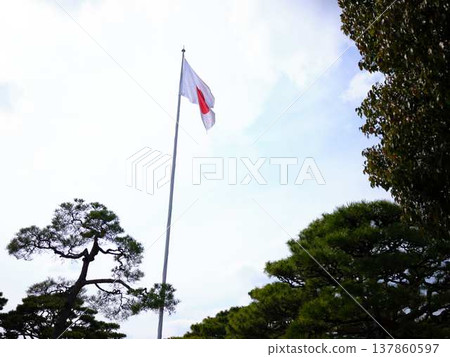 Japanese flag at Kochi Castle Japanese flag at Kochi Castle 137860597