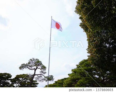 高知城的日本國旗 137860603