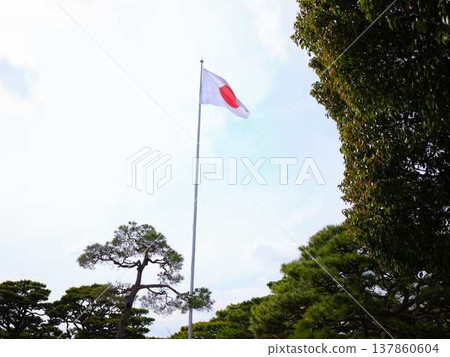 Japanese flag at Kochi Castle 137860604