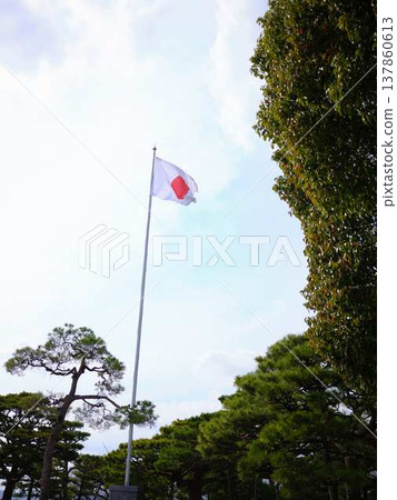 高知城的日本國旗 高知城的日本國旗 137860613