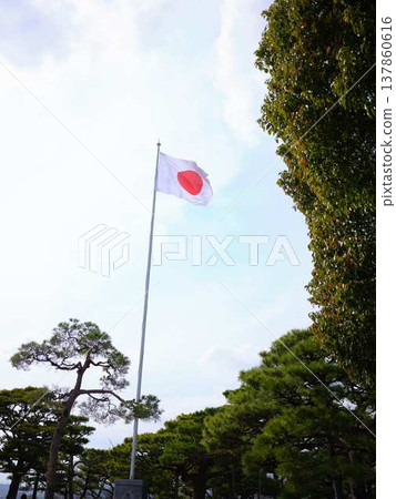 高知城的日本國旗 高知城的日本國旗 137860616