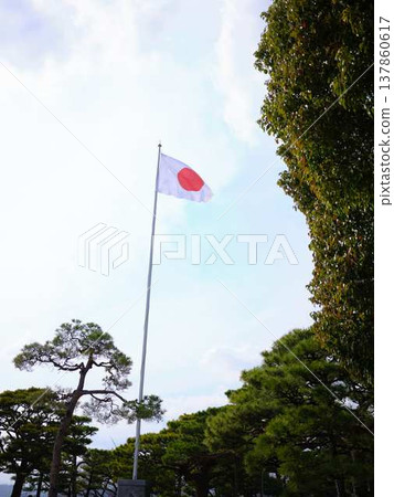 高知城的日本國旗 高知城的日本國旗 137860617