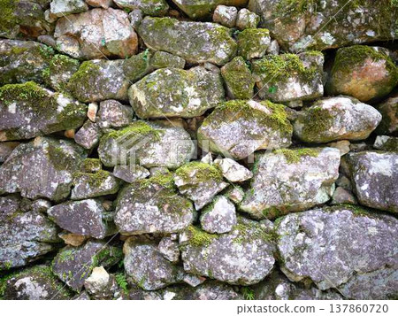 城堡的石牆 137860720