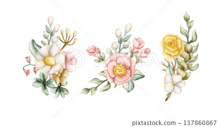 Cute Colourful Meadow Flower Bouquet Set. Watercolor summer spring bloom floral illustration hand painted isolated on white background for nursery baby kids design fresh prints cards posters textile Cute Colourful Meadow Flower Bouquet Set. Watercolor summer spring bloom floral illustration hand painted isolated on white background for nursery baby kids design fresh prints cards posters textile 137860867