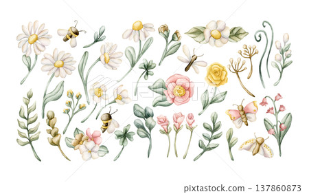 Cute Insect Meadow Flower Wild Plant Set. Watercolor illustration hand painted isolated on white background for nursery baby kids design spring summer fancy cards posters fabrics textile fresh prints Cute Insect Meadow Flower Wild Plant Set. Watercolor illustration hand painted isolated on white background for nursery baby kids design spring summer fancy cards posters fabrics textile fresh prints 137860873