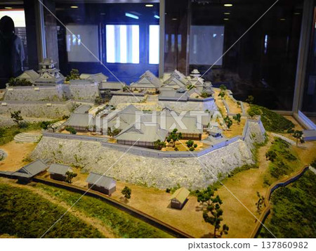 Life in the past (model) 137860982