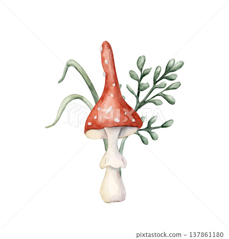 Cute Fly Agaric Mushroom with grass leaves. Watercolor summer floral forest illustration hand painted isolated on white background nursery baby kids design fresh whimsical prints cards mystery textile Cute Fly Agaric Mushroom with grass leaves. Watercolor summer floral forest illustration hand painted isolated on white background nursery baby kids design fresh whimsical prints cards mystery textile 137861180