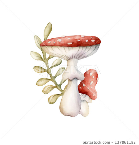 Cute Fly Agaric Mushrooms with leaves. Watercolor summer floral forest illustration hand painted isolated on white background nursery baby kids design fresh whimsical prints cards mystery textile 137861182