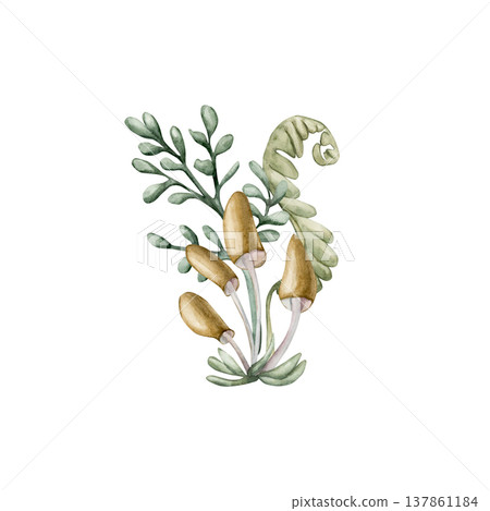 Cute small mushrooms fern leaves. Toadstool Rosehip Watercolor summer floral forest illustration hand painted isolated on white background for nursery baby kids design prints cards mystery textile Cute small mushrooms fern leaves. Toadstool Rosehip Watercolor summer floral forest illustration hand painted isolated on white background for nursery baby kids design prints cards mystery textile 137861184