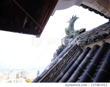 高知城堡城堡塔 高知城堡城堡塔 137861411