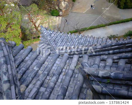 A castle tower of Kochi Castle 137861424