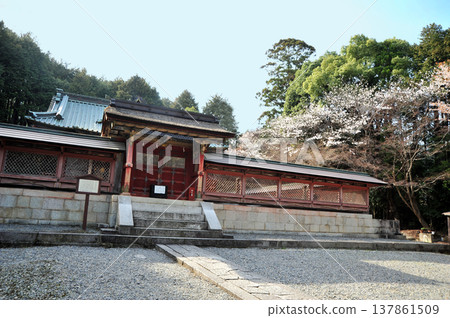 Otsu Sakamoto Hiyoshi Toshogu Shrine 137861509