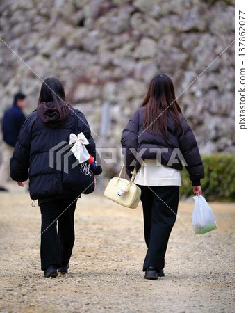 Cherry blossom viewing youth student 137862077