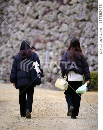 Cherry blossom viewing youth student 137862078