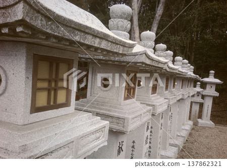 顫抖日子裡的燈籠 顫抖日子裡的燈籠 137862321