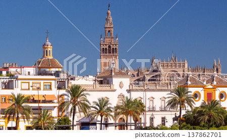 Seville skyline with Giralda tower and cathedral under blue sky Spain 137862701