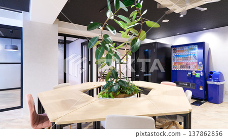 Office space incorporating biophilic design Office space incorporating biophilic design 137862856
