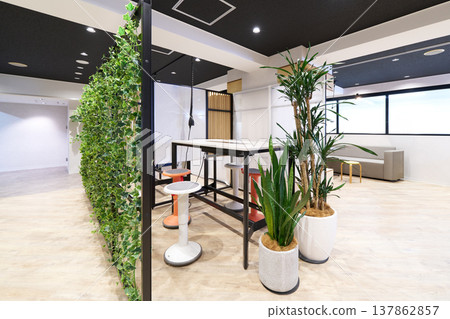 An open office space with houseplants and standing desks. 137862857