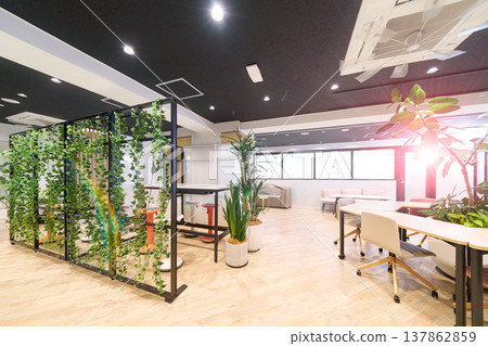 開放式辦公空間,擺放綠植,配備站立式辦公桌。 開放式辦公空間,擺放綠植,配備站立式辦公桌。 137862859