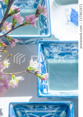 Japanese-style image [Porcelain bowl and cherry blossoms] 137862871