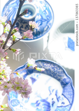 Japanese-style image [Blue and white porcelain bowl and cherry blossoms] 137863365