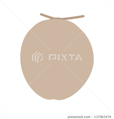 A simple flat icon of a coconut, a gentle beige fruit illustration. A simple flat icon of a coconut, a gentle beige fruit illustration. 137863476