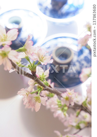 日式風格圖片【青花瓷碗與櫻花】 137863680