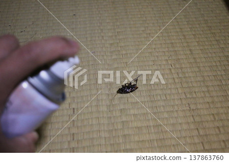 Spray cockroaches with insecticide spray. 137863760