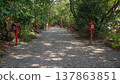 The approach to Hachiman Shrine (formerly Iwashimizu Hachimangu Shrine) in Higashikujo-cho, Nara City, January 2, 2020. 137863851