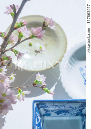 日式風格圖片【有田燒和櫻花】 日式風格圖片【有田燒和櫻花】 137863957
