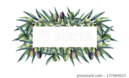 Olive branch frame with rectangular template copy space, card. Green and dark olive fruits, greenery. Isolated Hand painted illustration, realistic food art banner for packaging, branding, logo Olive branch frame with rectangular template copy space, card. Green and dark olive fruits, greenery. Isolated Hand painted illustration, realistic food art banner for packaging, branding, logo 137864015