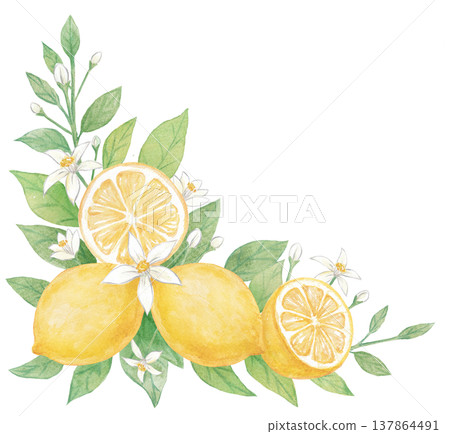 Watercolor lemon decoration Watercolor lemon decoration 137864491
