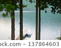 A view of the pier on Lake Ashi and a white boat through the gaps in the cedar grove. 137864603
