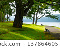 A quiet promenade and benches along the shores of Lake Ashi in Hakone, bathed in dappled sunlight filtering through the trees. 137864605