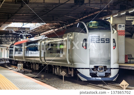E259 series Narita Express stopped at Shinagawa Station 137865702