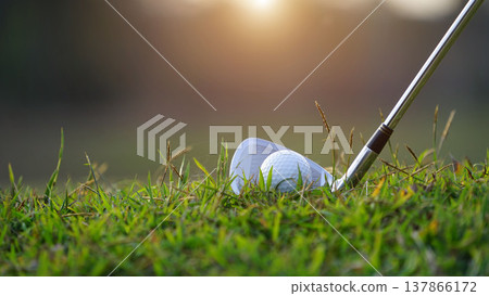 Golf clubs and balls on a green lawn in a beautiful golf course with morning sunshine. 137866172