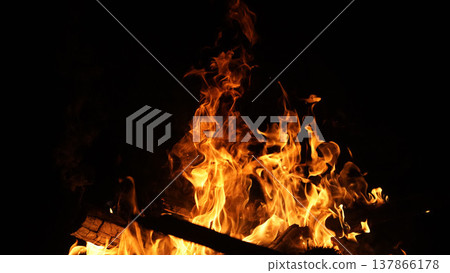 Burning fire flame on the black background. 137866178