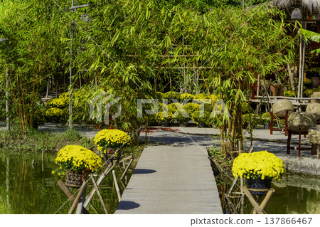 A tourist village of artisans. 137866467