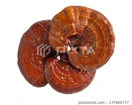 Lingzhi or Reishi mushroom with capsules, organic natural healthy food isolated on white background. 137866737