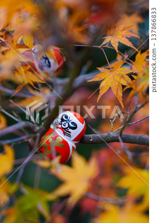 A red Daruma doll among the autumn leaves A red Daruma doll among the autumn leaves 137866833