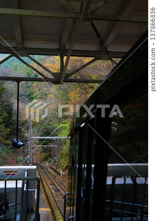 Train running in the autumn leaves Train running in the autumn leaves 137866836