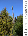 A tall tower with a cell phone antenna on top 137867391
