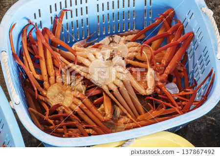 雪蟹被運到拍賣市場;拍賣市場的場景;雪蟹被拍賣;圖片素材。 雪蟹被運到拍賣市場;拍賣市場的場景;雪蟹被拍賣;圖片素材。 137867492