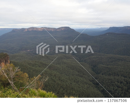 The vast natural landscape viewed from the highlands of the Blue Mountains – a tranquil land of continuous greenery. The vast natural landscape viewed from the highlands of the Blue Mountains – a tranquil land of continuous greenery. 137867506