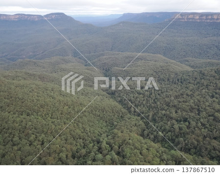 The vast expanse of the blue valley – a tranquil breath of the Blue Mountains The vast expanse of the blue valley – a tranquil breath of the Blue Mountains 137867510